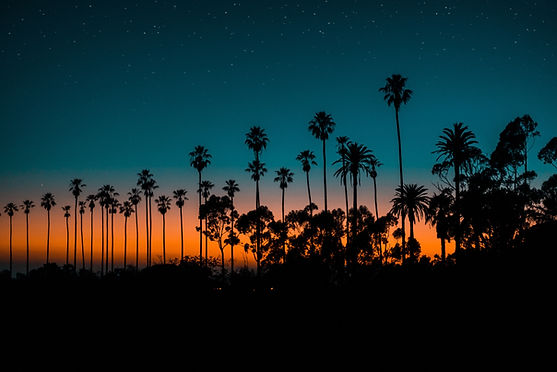 Image by Gerson Repreza
